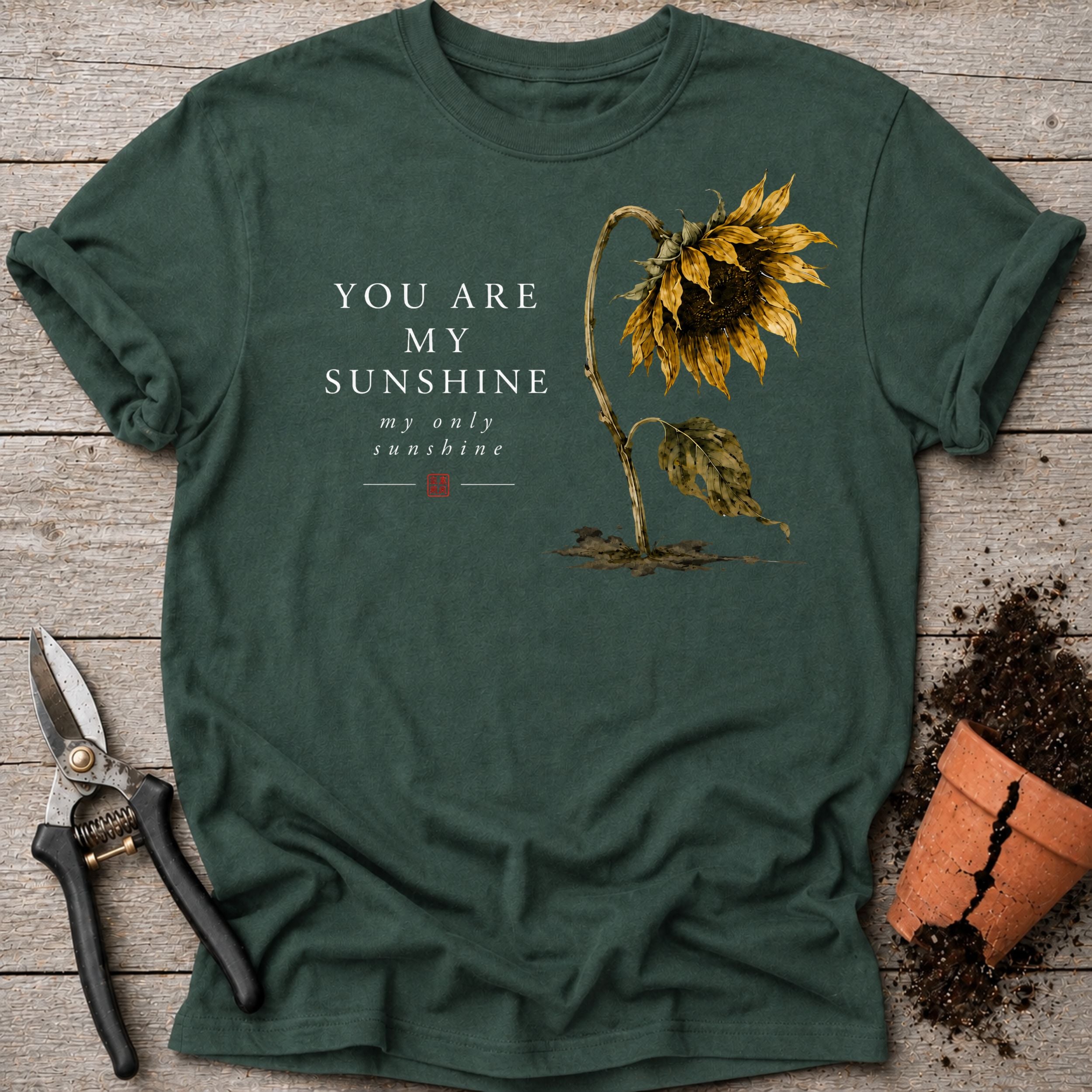 You are My Sunshine T-shirt